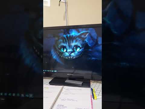 Desk tour - my recording setup ASMR #Shorts