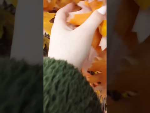 #asmr #asmrtriggers public ASMR