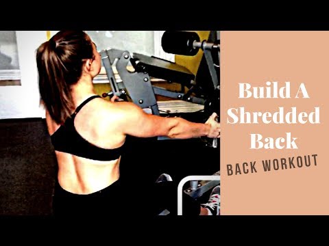 BACK WORKOUT |MINIMAL GYM EQUIPMENT