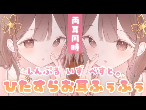 【ASMR】結局こういうのが一番ゾクゾクするよね。ひたすら両耳ふぅふぅ。[Breathe out through both ears.]