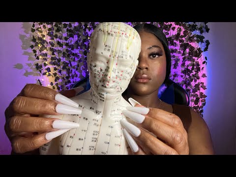 ASMR | Tapping And Tracing On Roberto