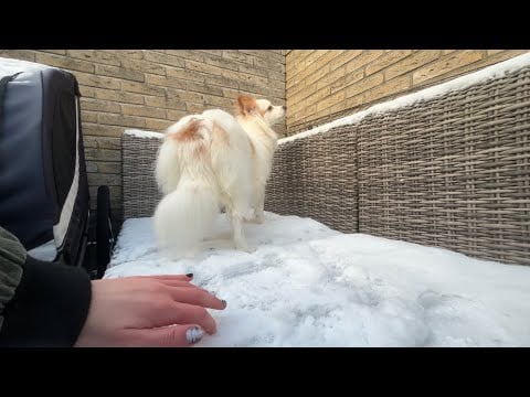 ASMR | Snow Triggers Outside !! (tapping, scratching, mouth sounds)