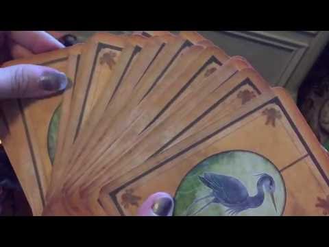 Interactive Oracle Card Reading Relaxing ASMR