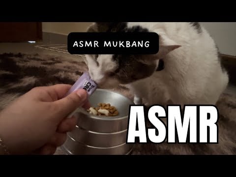 ASMR MUKBANG - GATO COMENDO - PARA DORMIR E RELAXAR EM SEGUNDOS