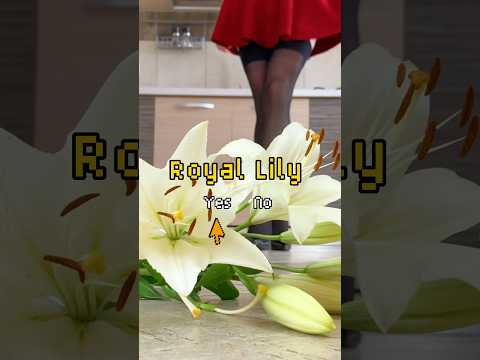 Pea vs. Royal Lily! High Heels Crushing Things! Oddly Satisfying! ASMR