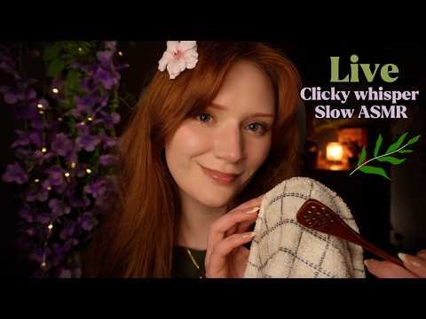 ASMR Bugs,Plucking,Mic scratching Mouth sounds,Spit painting,Kisses,Jellyfish,Honey spoon,Thunder😴