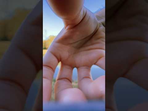 Outside hand movements #asmr #raeasmr #visualasmr #upclose #handmovements
