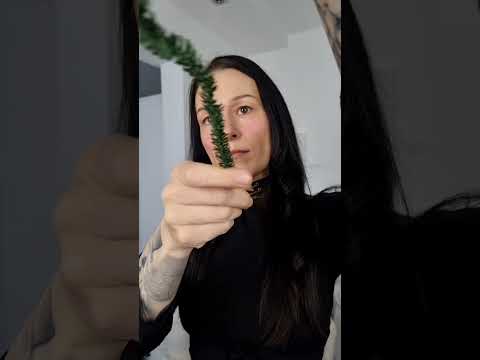 you fell into the christmas tree asmr