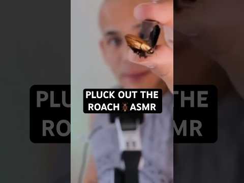 PLUCK OUT THE ROACHES ASMR #asmr #asmrcommunity #chaotic #roaches #personalattention