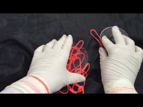 LATEX GLOVES👉 Layer Swetty💦 Latex & Rubber bands👈 PLAYING💥TAPPING [[ASMR]]