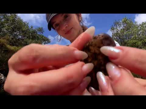 ASMR NA NATUREZA 🍃 Limpando suas energias negativas 🍃Energy Cleaning/ Nature/ Hands movement