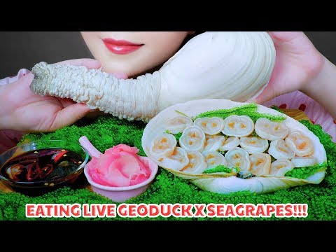 ASMR MAKING LIVE GEODUCK SASHIMI AND RAW SEAGRAPES CRUNCHY EATING SOUNDS | LINH-ASMR