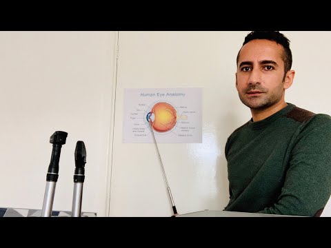[ASMR] Guest Optometrist Takes a Class (You're a Student PoV)