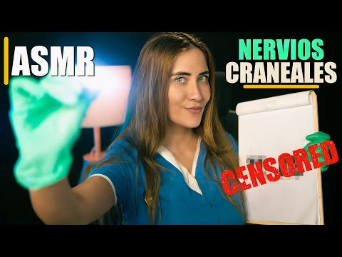 ASMR 4K NERVIOS CRANEALES realista y completo| Asmr para dormir| ASMR Español | Asmr with Sasha