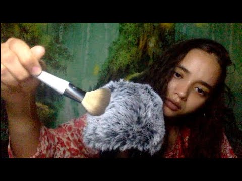 ASMR BRUSHING YOU TO SLEEP 🖌️