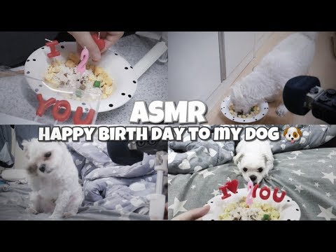 [한국어ASMR] 구름이의 2살 생일 축하해주기│강아지 케이크 만들기│강아지 케이크 먹방 이팅사운드 / 노토킹