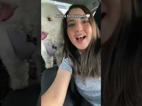 Nunca te olvidaré - Enrique Iglesias cover 🤍 #music #cover #musica #enriqueiglesias #viral