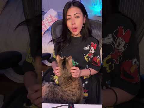 Asmr on my cat #asmr