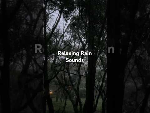 Relaxing Rain Sounds in the Jungle 🌧️🌳#asmrsounds #study