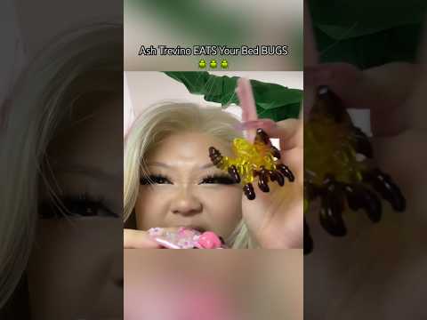 ash trevino eats ur bedbugs #mukbang #asmr