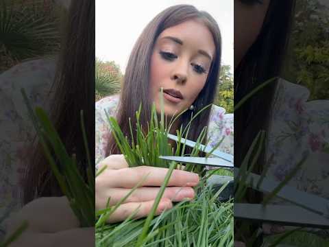JE COUPE DE L’HERBE ET C’EST TROP SATISFAISANT #asmr