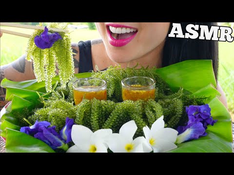 ASMR SEAGRAPES WITH SEAFOOD SAUCE (NATURE EATING SOUNDS) NO TALKING | SAS-ASMR