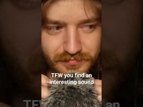 Clearly thought that was interesting #asmrscratching #tingles #asmr