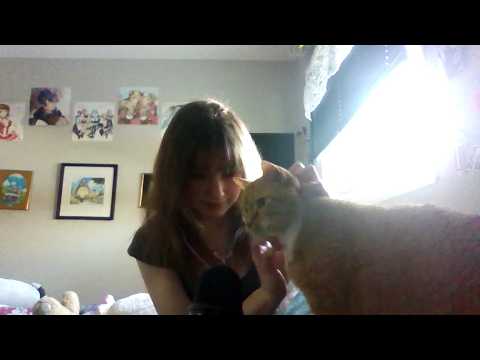 asmr that makes your tingles mingle