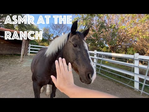 ASMR at the Ranch: Camera Tapping, Whispers, etc.🤠
