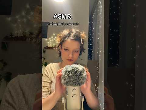 𑣲ASMR || plucking fluffy mic cover 🎤