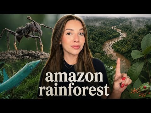 ASMR Deep Dive - Scary Truths About the Amazon Rainforest Uncovered 