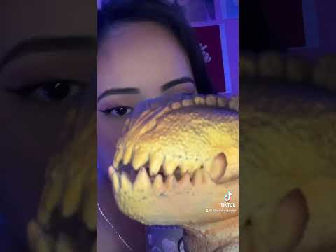 Asmr Dino #dino #somdebocamolhado #eco #exo