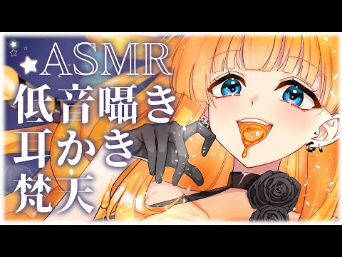 【耳かきASMR】あなたを癒す耳かき梵天✨【睡眠用ASMR/低音ボイス/心音】