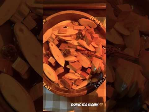 Wood soup video coming soon 👀 #woodsoupasmr #asmr #notalkingasmr