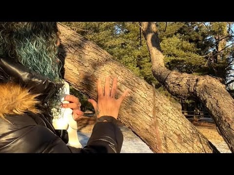 Nature ASMR W Vae Ak