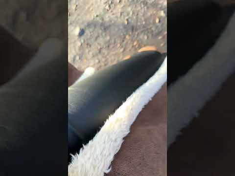ASMR mit schnellen Schritt auf dem Waldweg zum nächsten Sonnenplatz. 🥹