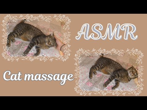 ASMR Purring kitty is getting a massage + soft spoken Russian accent