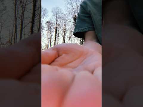 Slow up close hand movements outside #asmr #raeasmr #visualasmr #upclose #handmovements #outside