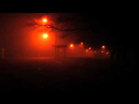101. Frosty Midnight Walk.