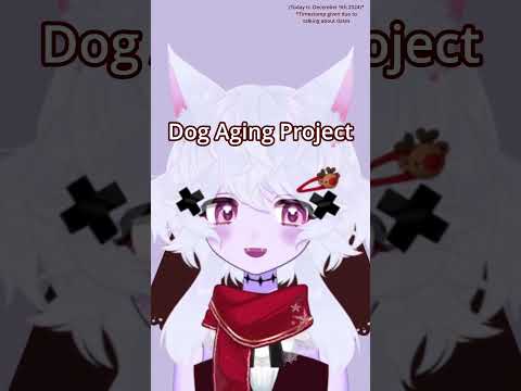Dog Aging Project: I didn't know there were dog owners participating in something like this!