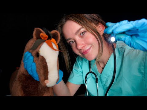 ASMR VETERINARIAN Exam Roleplay! Gloves, Light, Whispers