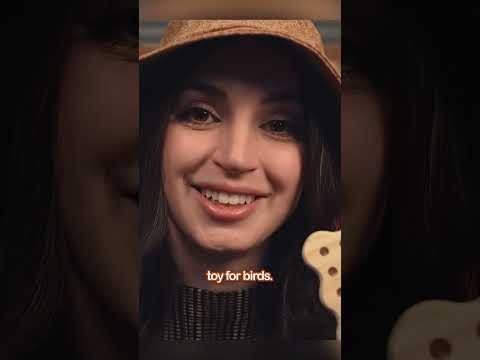 ASMR - They seem offended that you asked for "a cork"...
