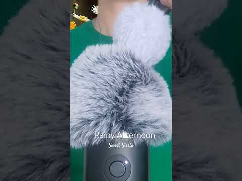 🌧️ Rainy Afternoon, Brushing my Fluffy Mic ASMR #asmr