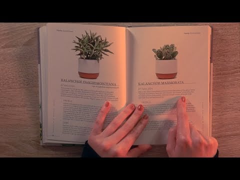 ASMR Flicking Through a Book & Whispering