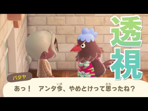 【あつ森】超能力者、パタヤさん