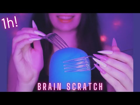 Asmr Deep Mic Scratching - Brain Scratching | Brain Melting Asmr No Talking for Sleep |Long Nails 1H