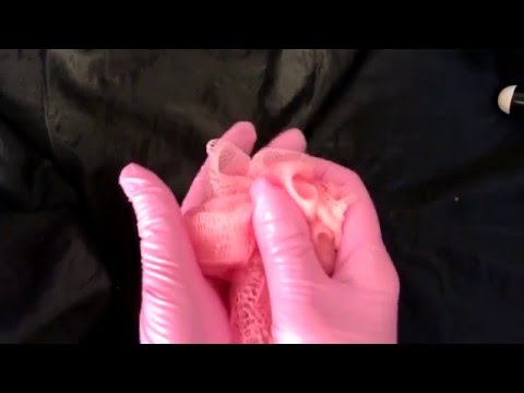 LATEX✋MEDICAL GLOVES with soapy 💮 MASSAGE💖  [[ASMR]]