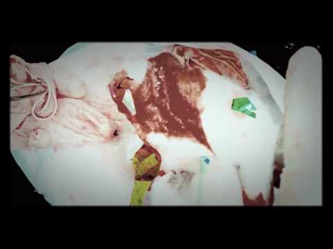 Latex Gloves👉 OMG... what is in this fun🎉...oops  blood bag ⁉ [[ASMR]]