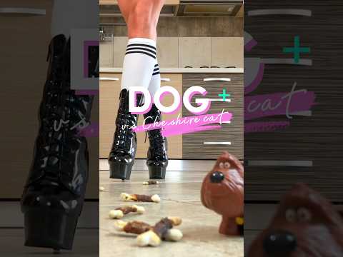 Boots Crushing Toys: Cheshire Cat vs. Dog! Oddly Satisfying! ASMR