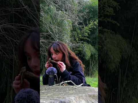 #ASMR dans la nature 🍂🐿️